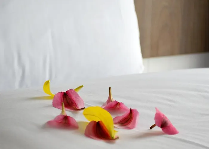 Slaney Suites