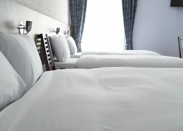 Slaney Suites 酒店 3*